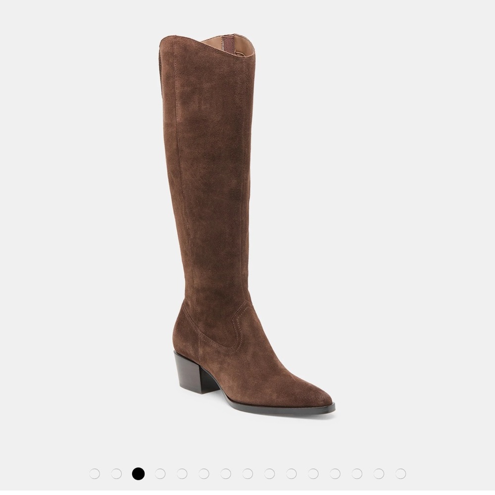 Dolce Vita Brown Suede Tall Boots